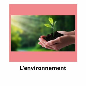 L&rsquo;environnement